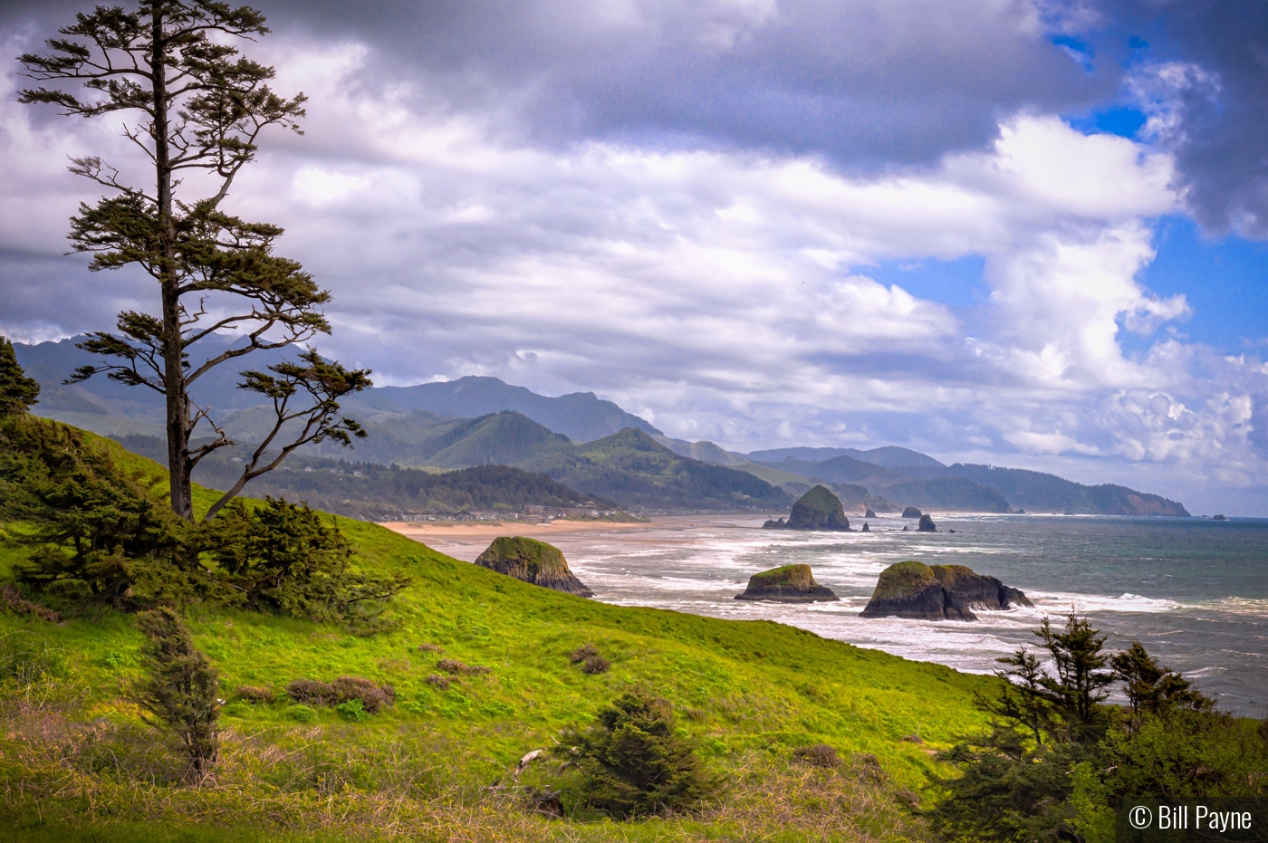 Cannon Beach by Bill Payne