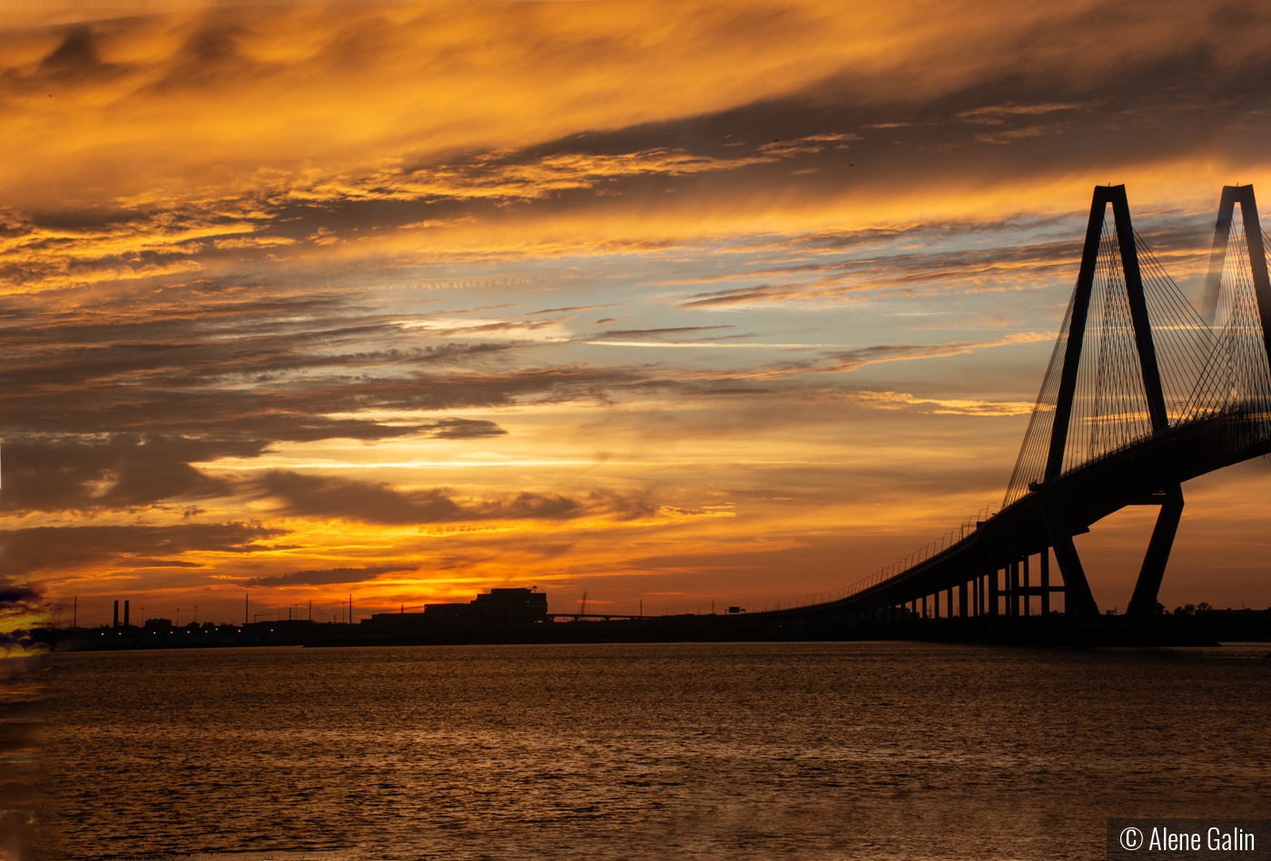 Charleston Sunset by Alene Galin