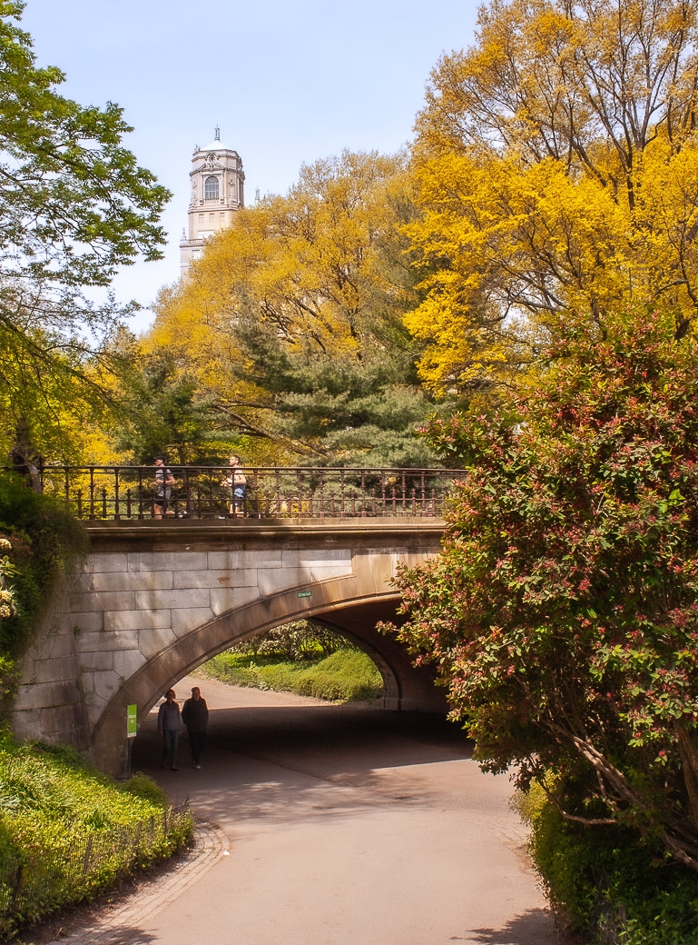 Early Spring in Central Park by Pamela Carter