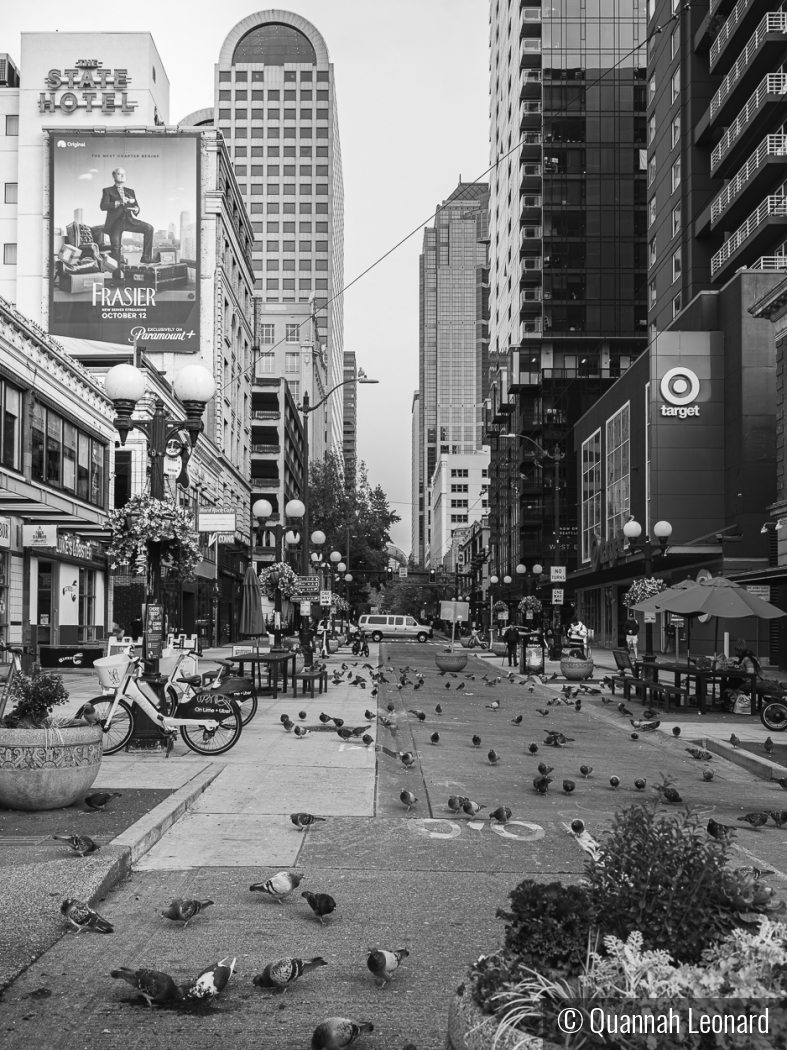 Historic Pioneer Square District - Seattle by Quannah Leonard