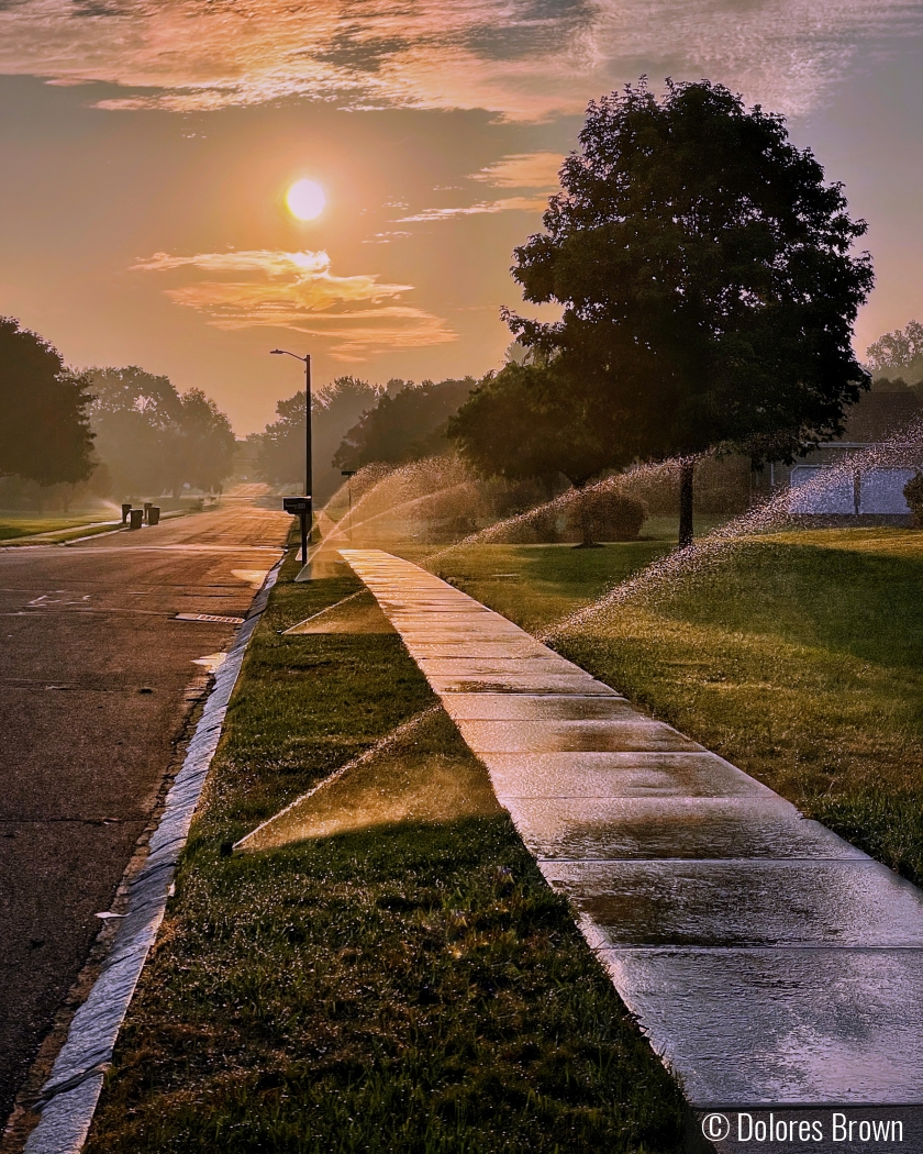 Neighborhood Awakening by Dolores Brown