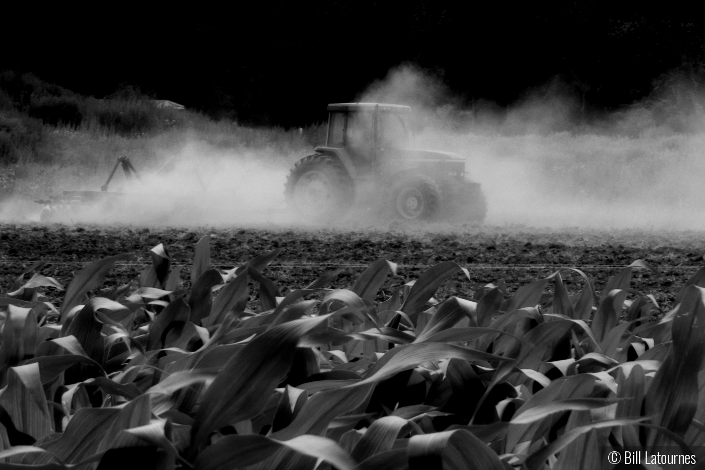 Plowing The Field In The Dust by Bill Latournes