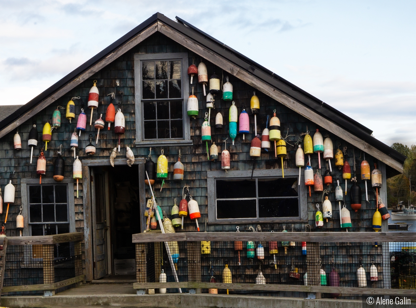 Rockport Fishing Village by Alene Galin