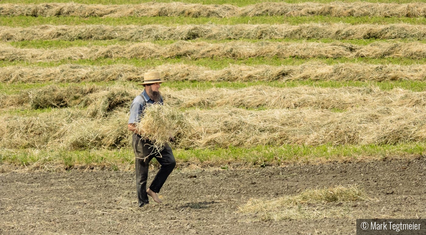 Straw Harvest by Mark Tegtmeier