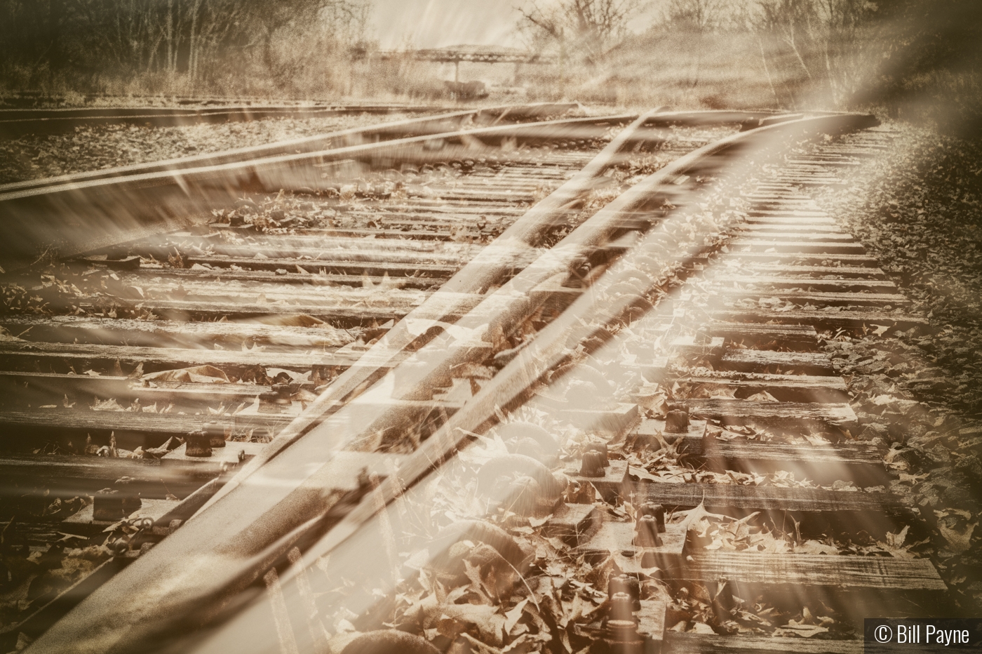 Tracks by Bill Payne