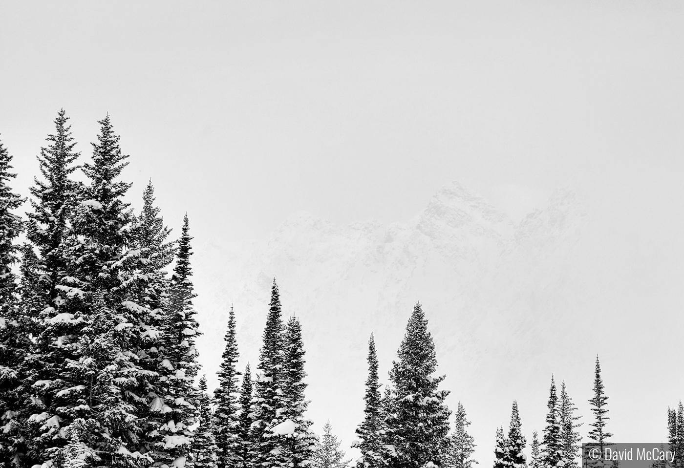 Wasatch Mountains in Mist by David McCary