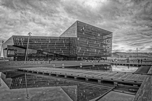 Harpa in Monochrome - Photo by John McGarry