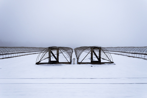 Class A HM: Plant Nursery in Winter by Grace Yoder