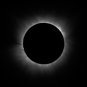 Sun Prominences Captured Only During a Total Eclipse - Photo by Eric Wolfe