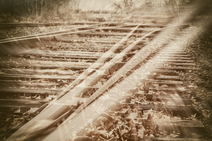 Tracks - Photo by Bill Payne